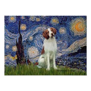 Brittany Spaniel 3 - Starry Night Poster