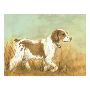 "Brittany Spaniel" Art Reproduction Postcard