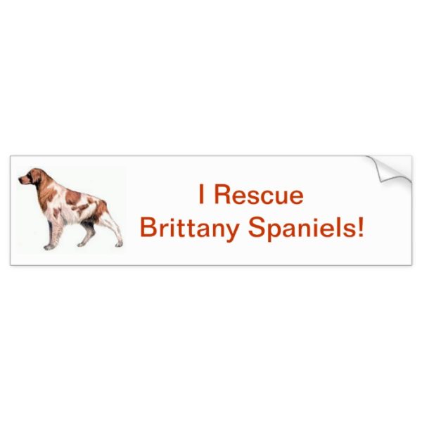 Brittany Spaniel Bumper Sticker