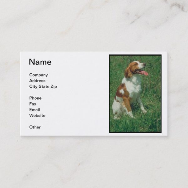 Brittany Spaniel Business Card