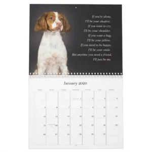 Brittany Spaniel Calendar