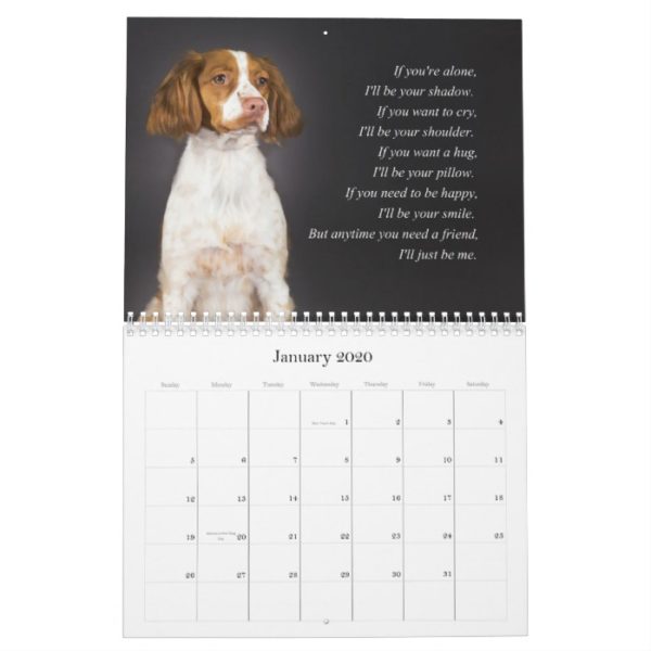 Brittany Spaniel Calendar
