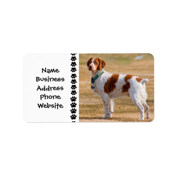 Brittany Spaniel Dog Beautiful Label