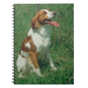 Brittany Spaniel Dog Notebook