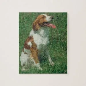 Brittany Spaniel Dog Puzzle