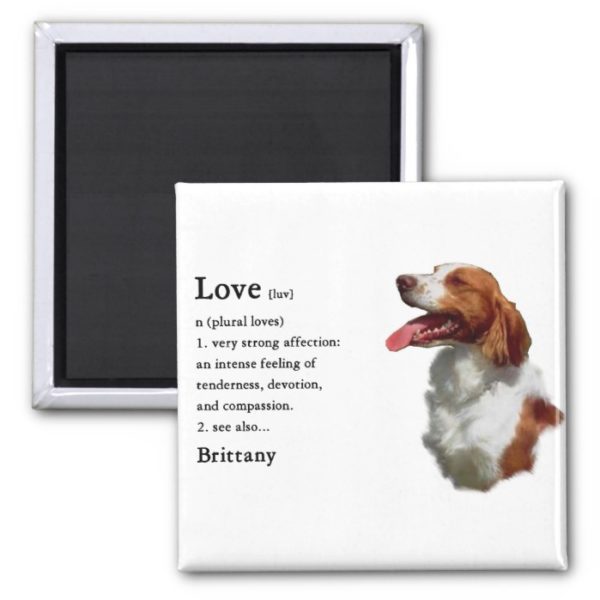 Brittany Spaniel Gifts Magnet