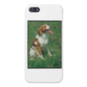 Brittany Spaniel iPhone Case