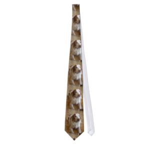 brittany spaniel laying neck tie