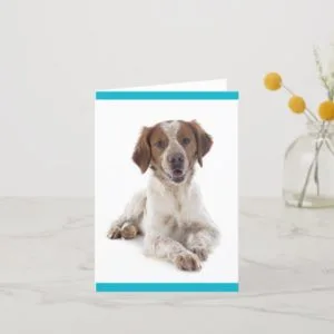 Brittany Spaniel Puppy Dog Blank Note Card