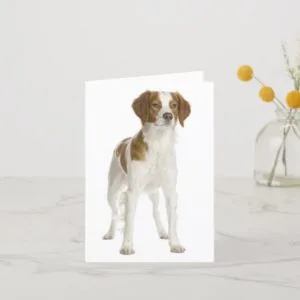 Brittany Spaniel Puppy Dog Blank Note Card