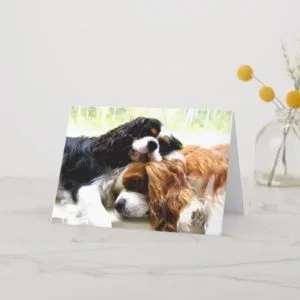 Brothers Cavaliers Card
