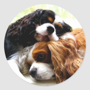 Brothers Cavaliers Classic Round Sticker