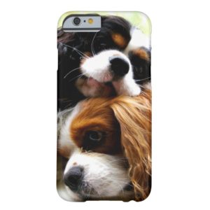 Brothers Cavaliers iPhone 6 Case