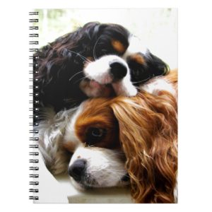 Brothers Cavaliers Notebook