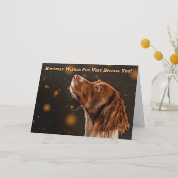 Brown And Cream Springer Spaniel, Birthday Wishes Card