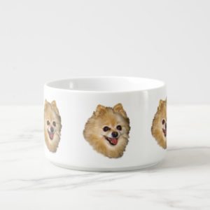 Brown and White Pomeranian Dog Bowl