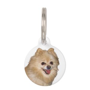 Brown and White Pomeranian Dog Pet ID Tag