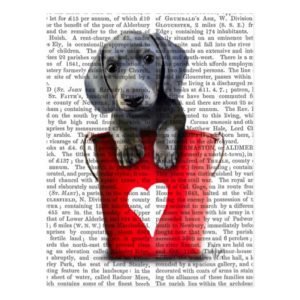 Buckets of Love Dachshund Puppy Postcard