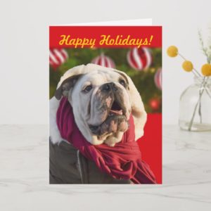 Bulldog Christmas cards