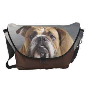 Bulldog Face - English Bulldog, Brown Messenger Bag