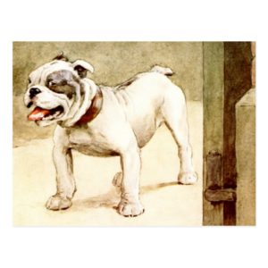 Bulldog Postcard