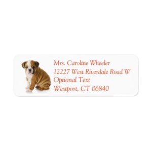 Bulldog Puppy Dog Return Address Name Label