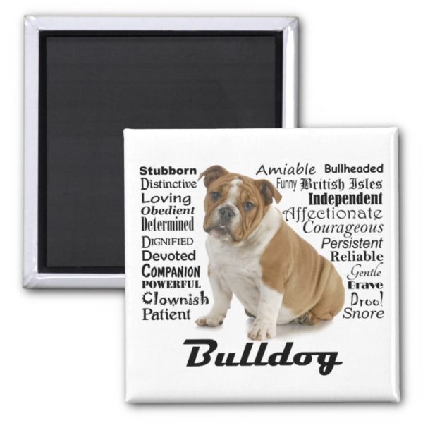 Bulldog Traits Magnet