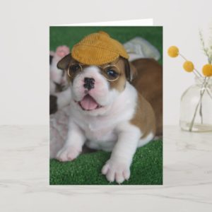BullyBreeze - Chill - Chillin' Out - Greeting Card