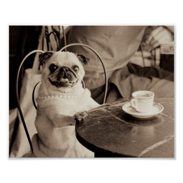 Cafe Pug Poster