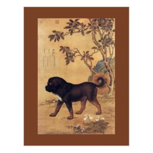 Cangni 苍猊 ~ Tibetan Mastiff ~Giuseppe Castiglione~ Postcard