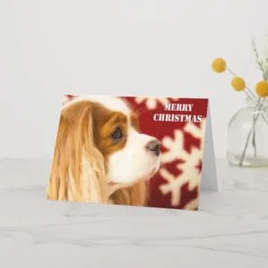 Cavalier King Charles Snowflake Christmas Card