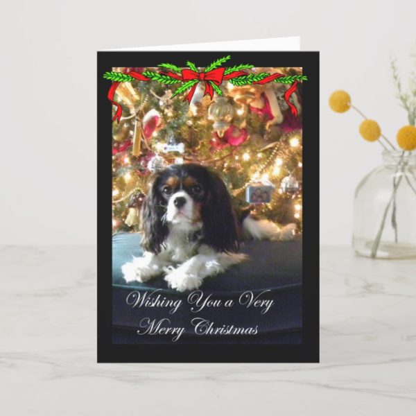 Cavalier King Charles Spaniel Christmas Card