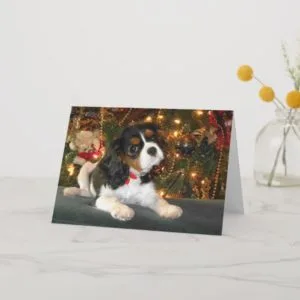 Cavalier King Charles Spaniel Christmas Card