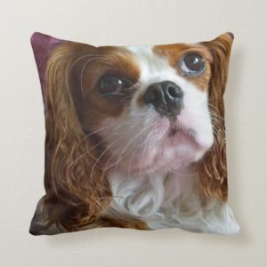 Cavalier King Charles Spaniel cushion pillow