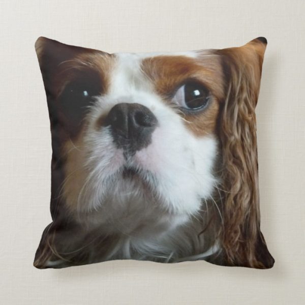 Cavalier King Charles Spaniel cushion pillow