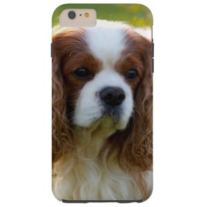 Cavalier King Charles Spaniel iPhone 6 Plus Case