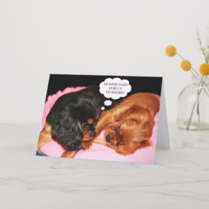 Cavalier King Charles Spaniel Let's Share Care Card