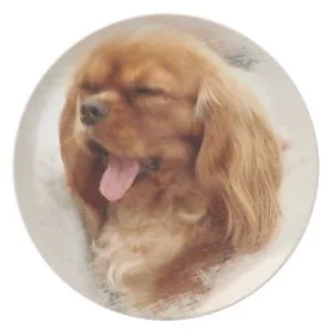 Cavalier King Charles Spaniel Melamine Plate