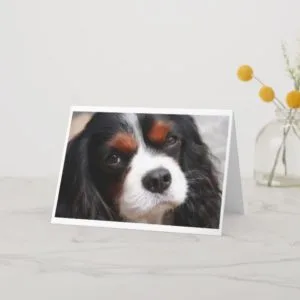 Cavalier King Charles Spaniel Mom Card