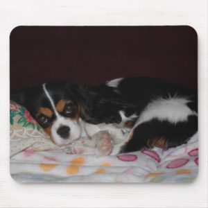 Cavalier King Charles Spaniel Mouse Pad
