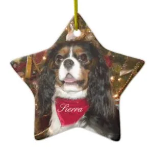 Cavalier King Charles Spaniel Personalize Ornament