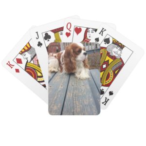 Cavalier King Charles Spaniel Playing Cards