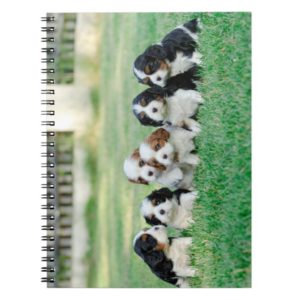 Cavalier King Charles Spaniel puppies Notebook