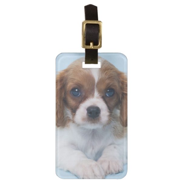 Cavalier King Charles Spaniel Puppy Bag Tag