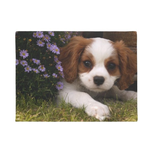 Cavalier King Charles Spaniel Puppy behind flowers Doormat