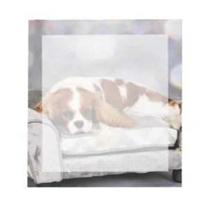 Cavalier King Charles Spaniel - Remington Notepad
