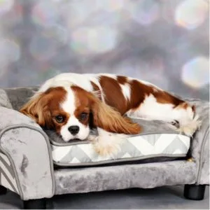 Cavalier King Charles Spaniel - Remington Statuette