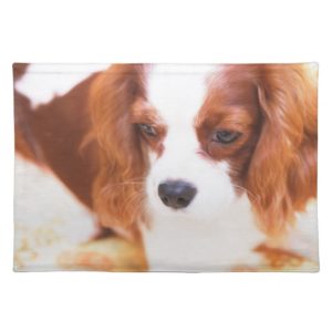 Cavalier King Charles Spaniel Soft Placemats