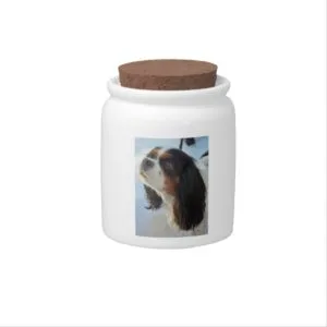 Cavalier King Charles Spaniel Tri-Colored Candy Ja Candy Jar