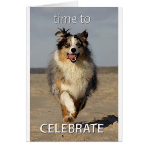 Celebration Card with Australian Shepherd
